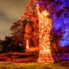Photos: The Great Jack O' Lantern Blaze Remains The Most Spooktacular Pumpkin Display